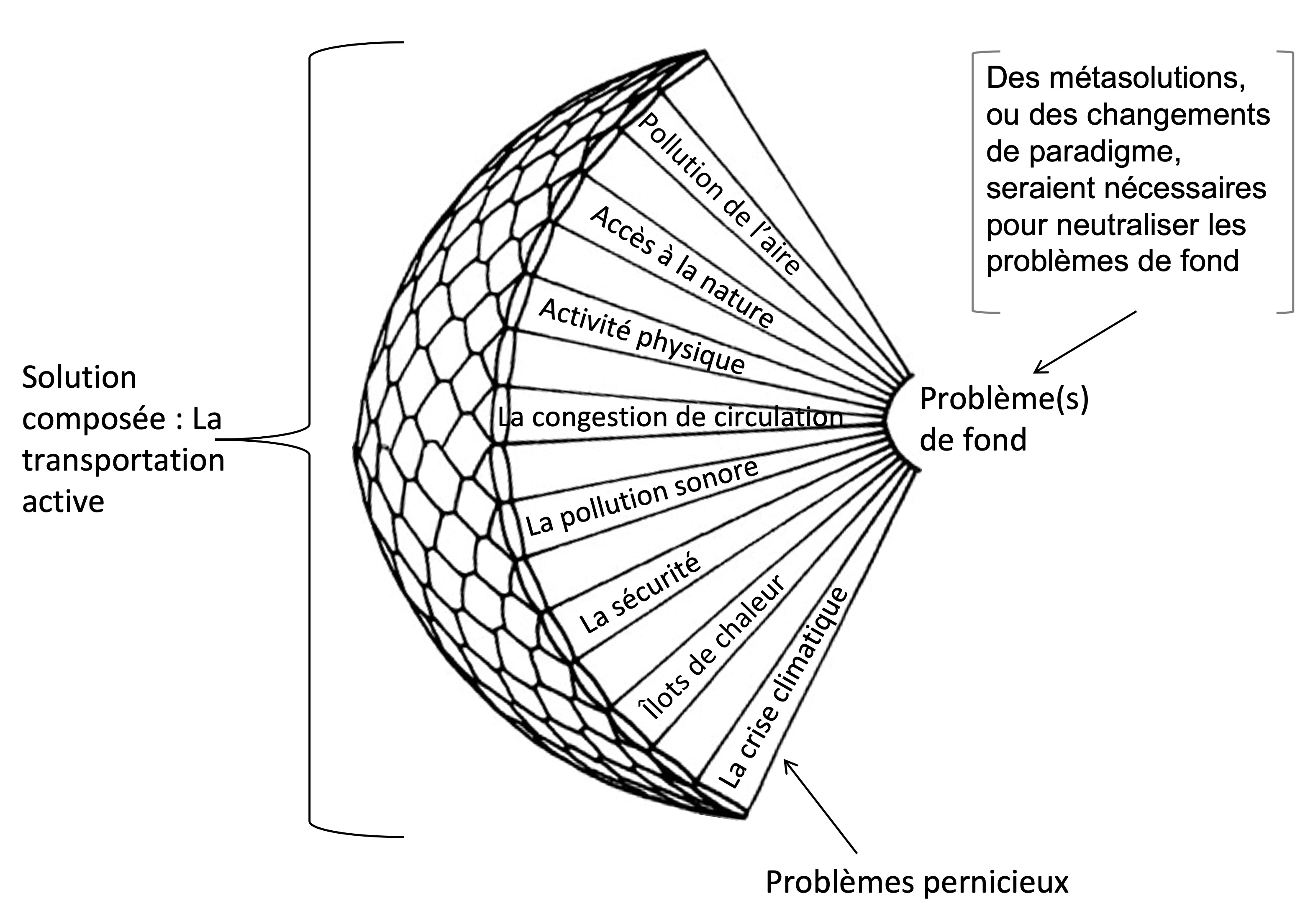 Figure 3 oeil compose