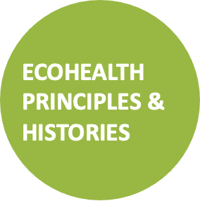 Ecohealth principles and histories